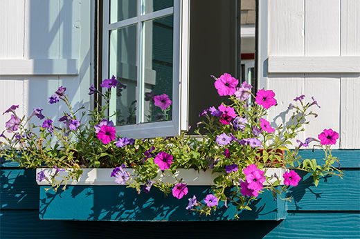 How to Build a DIY Window Planter