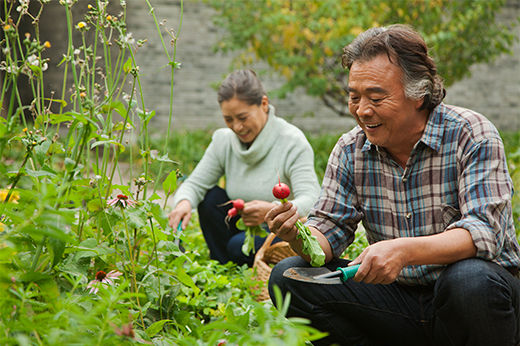 Garden Longer: How to Extend Your Growing Season