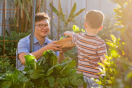 How to Protect Plants from Extreme Heat