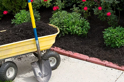 Garden Cart vs. Wheelbarrow: Which One to Buy for Your Garden