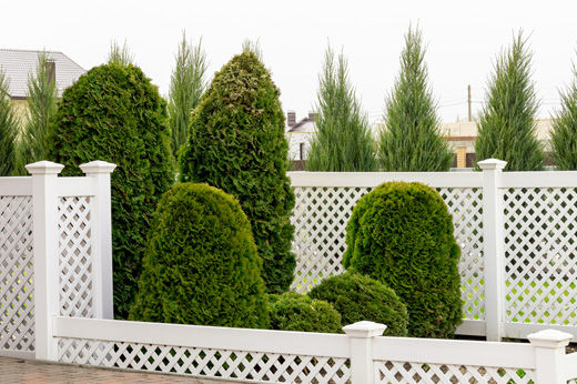Fencing 101: Finding the Best Fencing for Your Yard