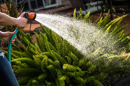 Garden Hose Buying Guide