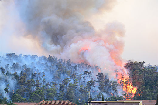 How Do You Prepare for Wildfires? Wildfire Preparedness Checklist