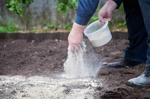Garden Lime: How to Get the Best From It