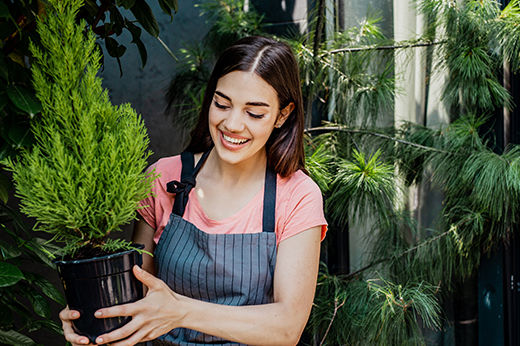 How to Plant Nursery Plants Outdoors
