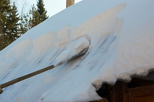 How to Remove Snow from Roofs & Trees