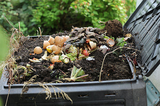 How to Compost Household Waste