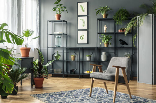 6 Tips to Improve Your Indoor Air Quality