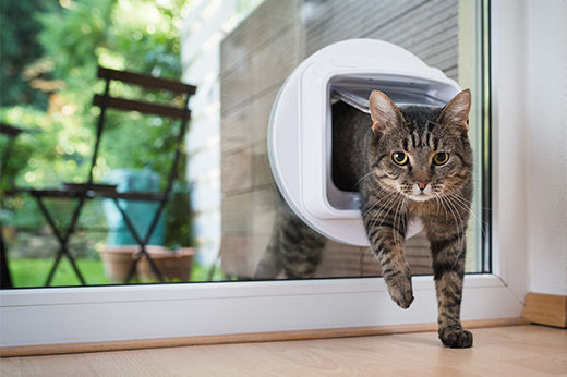 How to Install a Pet Door