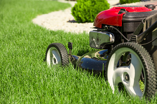 Lawn Mowing 101: Tips to Do It Right
