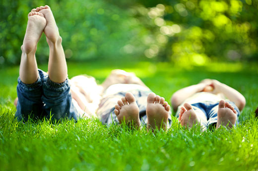 4 Tips for Organic Lawn Care