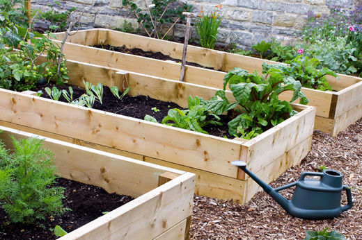 How to Build & Plant a Raised Garden Bed