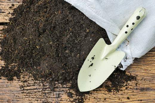 Organic Gardening: Beginners’ Guide