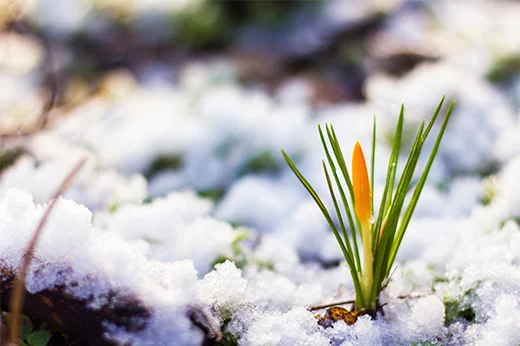 7 Tips to Prep Your House & Yard for Spring