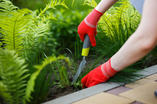 How to Prevent & Kill Weeds