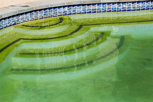 Reasons for a Cloudy Pool and How to Treat It