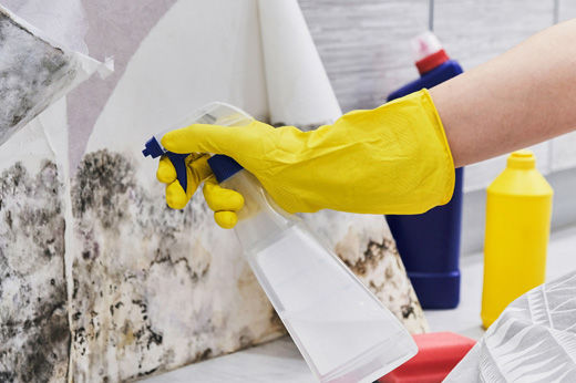 How to Remove Mold from Walls
