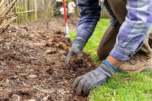 Spring Mulching Guide: When and How to Apply Mulch 