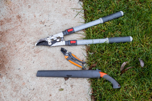 The Ultimate Guide to Pruning and Trimming Tools