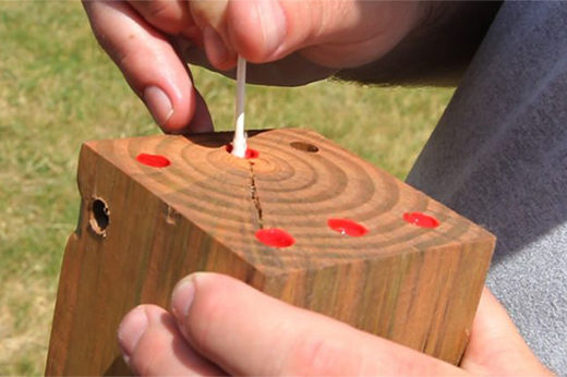 Yardzee DIY Giant Lawn Dice Game