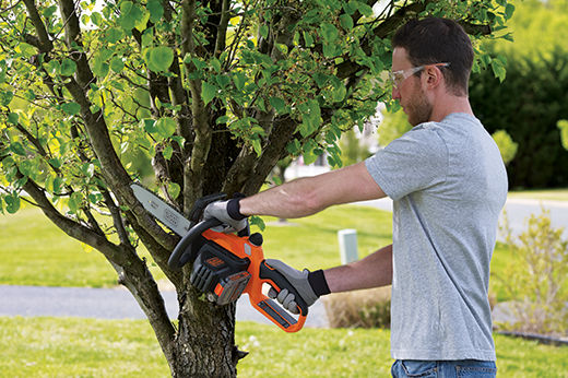 How to Trim Tree Branches Over House