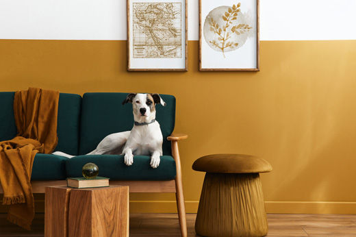 Why Settle for One Color? Two-Tone Paint Ideas