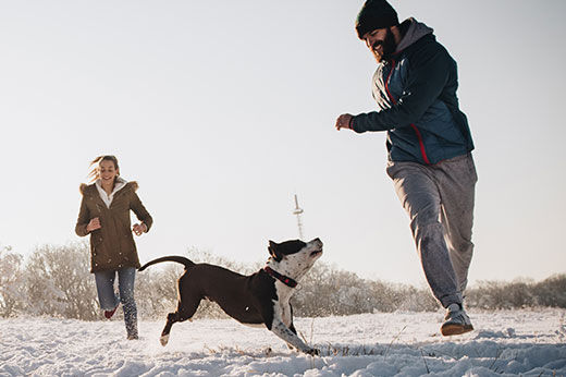 10 Easy Ways to Stay Active with Your Dog