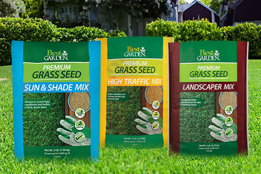 Best Garden Grass Seed