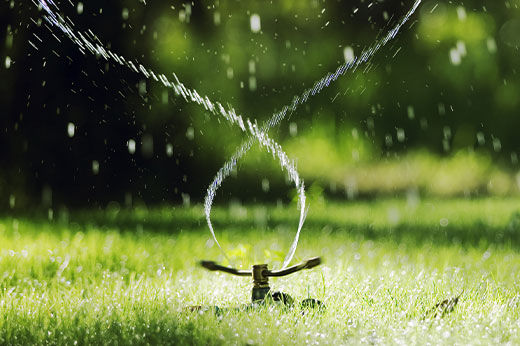 Best Garden Rotary Sprinkler in a yard