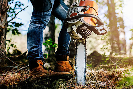 Chainsaw Maintenance Tips