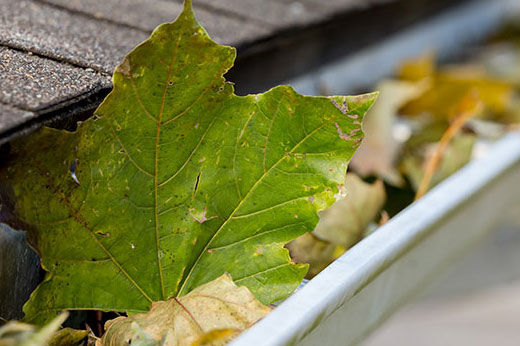 How to Take Care of Your Gutters by the Season