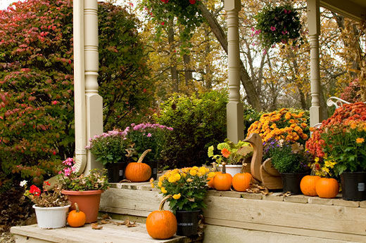 How to Boost Your Fall Blooms