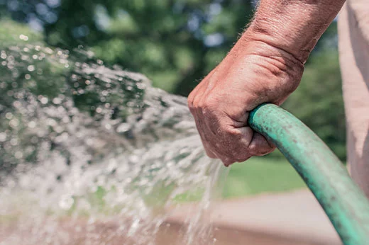 Garden Hose Buying Guide
