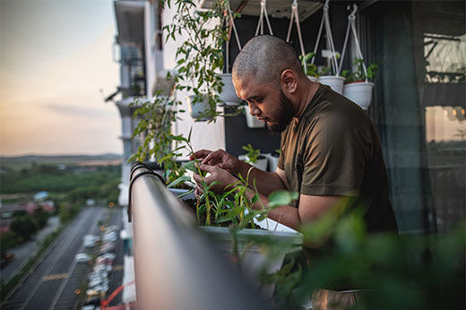 5 Tips for an Apartment Balcony Garden in a Small Space