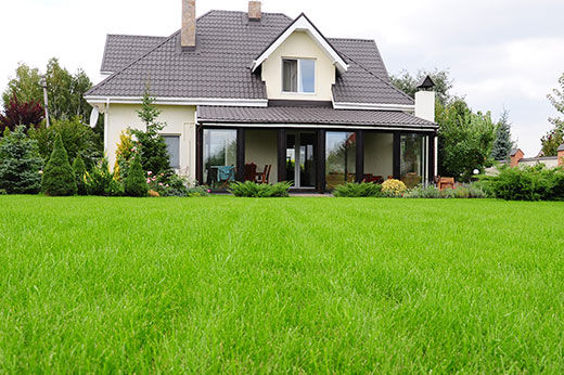 How to Grow a Greener Lawn