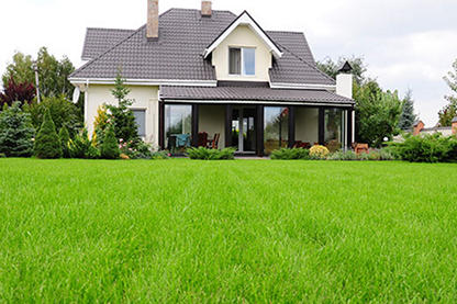 How to Grow a Greener Lawn