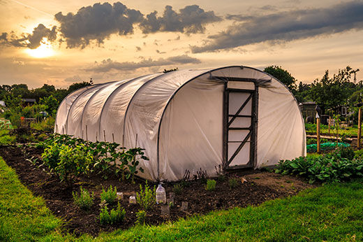 How to Grow Vegetables Year-round in a Greenhouse