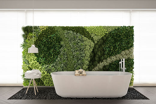 How to Build a Living Wall