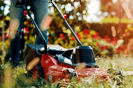 Gas-powered Lawn Equipment