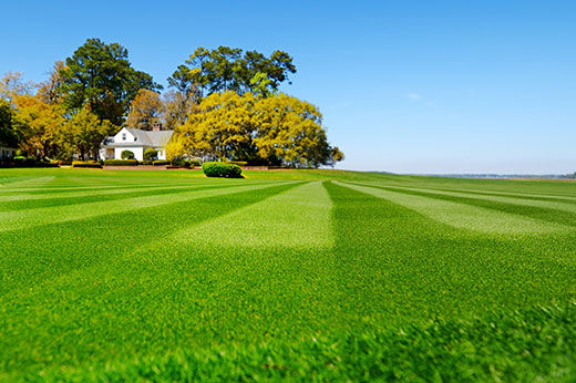 Secrets to Perfect Lawn Mowing