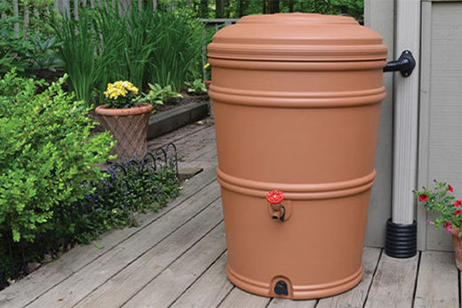DIY Rain Barrel Installation and Rainwater Collection