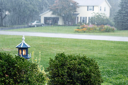 4 Reasons to Choose a Digital Rain Gauge