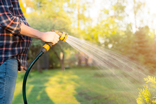 How to Save Water in Your Lawn and Garden
