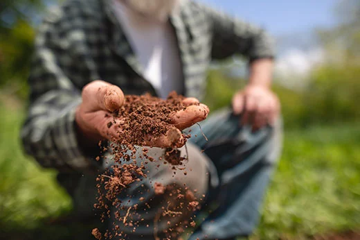 Soil in hand
