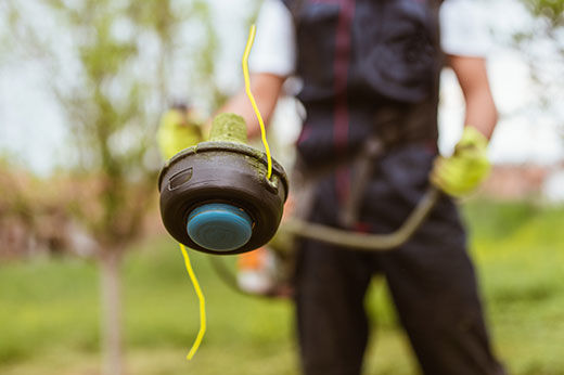 String Trimmer Maintenance