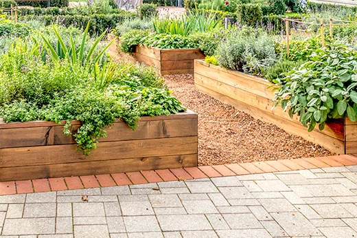 weeding a garden bed