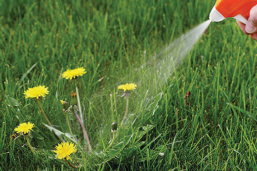 How to Apply Weed Killer