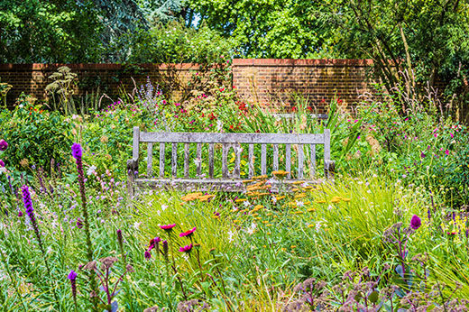 Wildflower garden