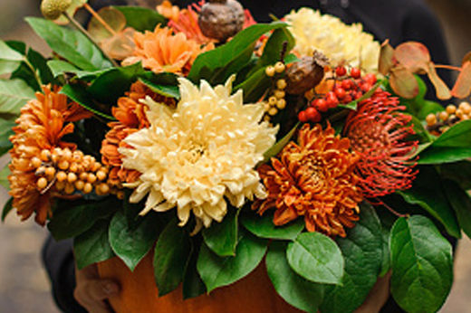 What Are the Best Flowers for Fall?