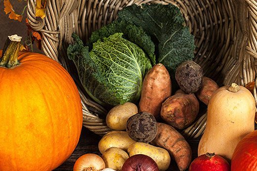 Guide for Fast-growing Fall Vegetables